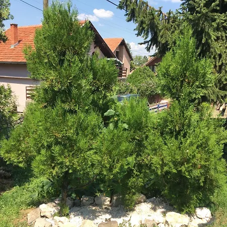 Spasic * Smederevo